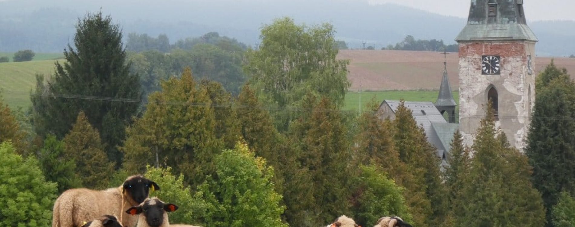 prisvich-farma-u-svateho-jakuba16