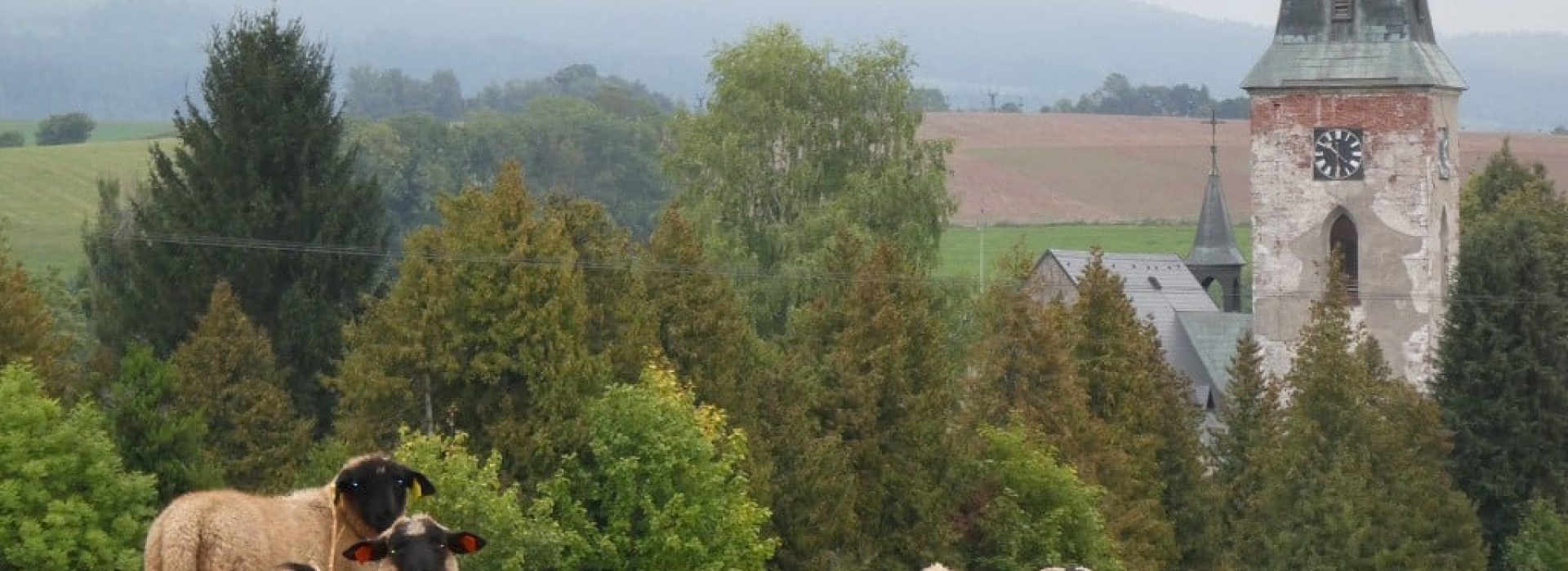 prisvich-farma-u-svateho-jakuba16