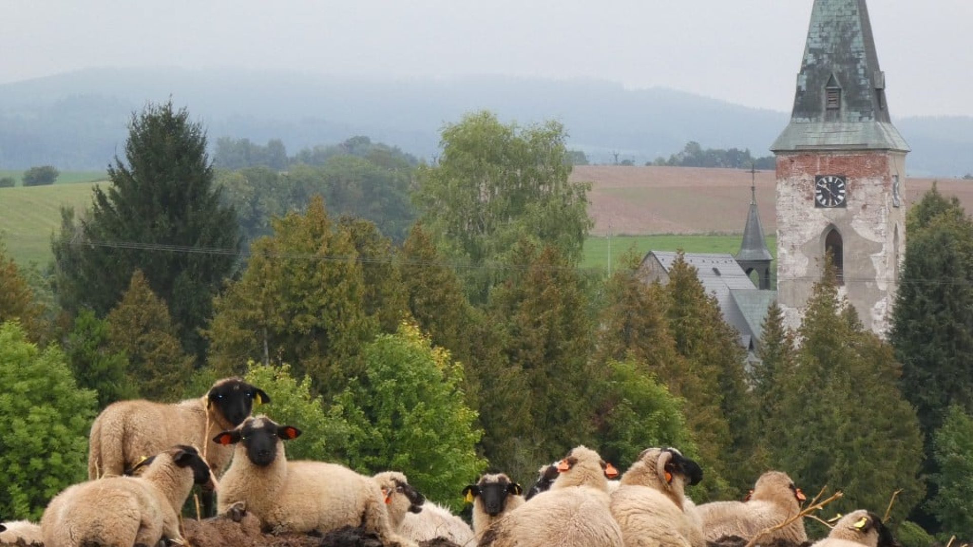 prisvich-farma-u-svateho-jakuba16