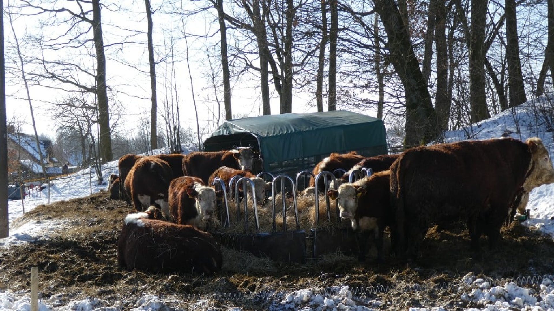 prisvich-farma-u-svateho-jakuba8