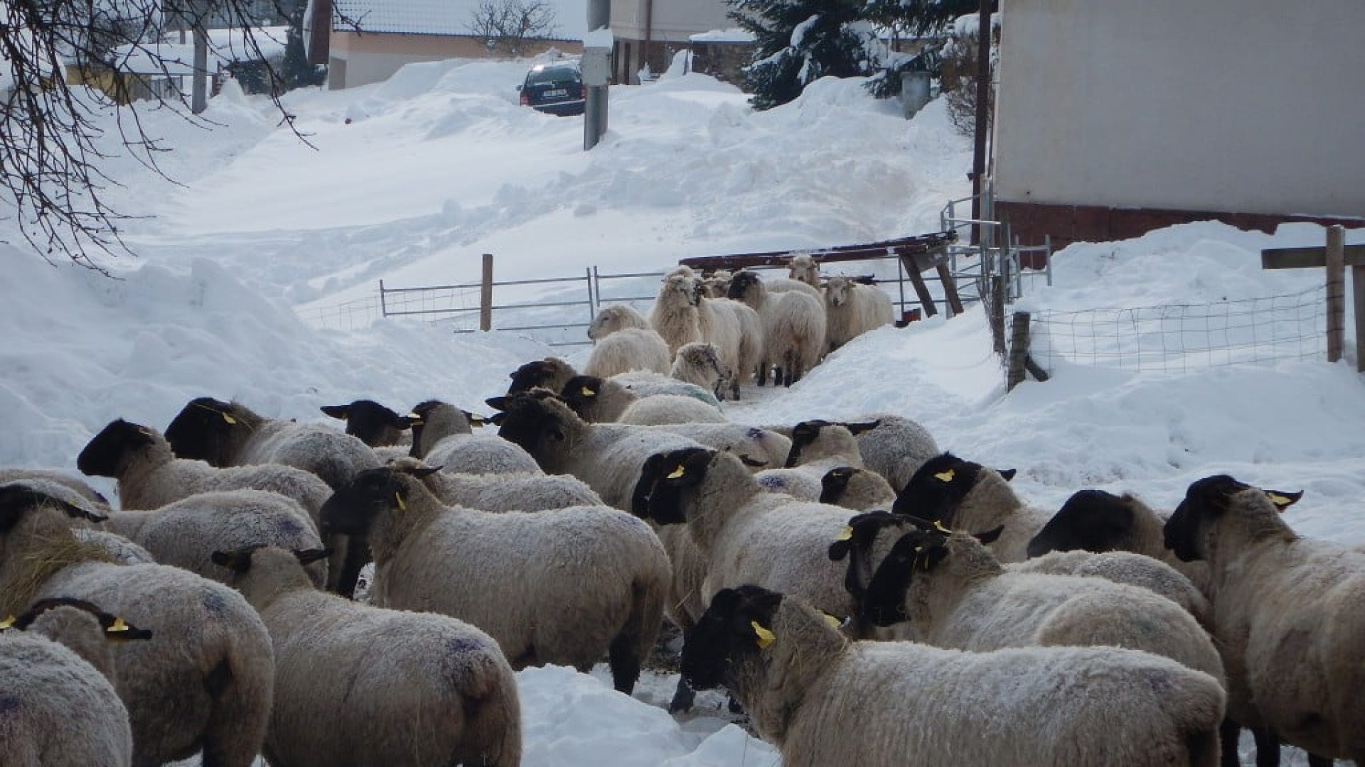 prisvich-ubytovani-welness-31